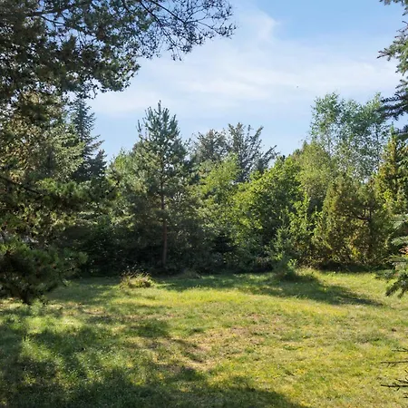 Cozy On Natural Plot